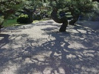 DSC00056