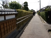 IMGP3347