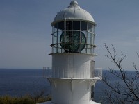 IMGP3363