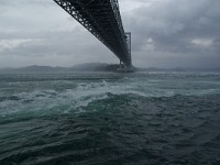 IMGP3375