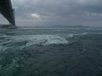 IMGP3378