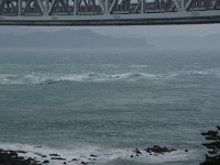 IMGP3387