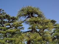 IMGP3492