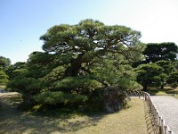 IMGP3497