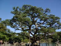 IMGP3509