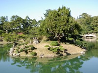 IMGP3524