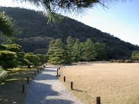 広いです！