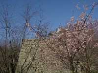 sk025