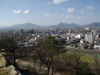 長めは抜群！