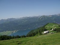 IMGP3940