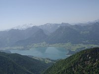 IMGP3949