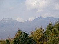 IMGP5849