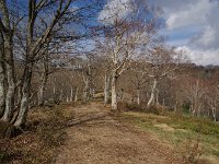IMGP5857