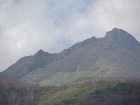 IMGP5880