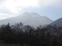 IMGP5882