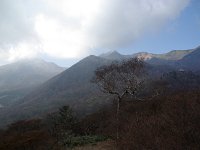 IMGP5885