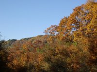 IMGP5913