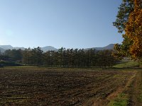 IMGP5925