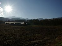 IMGP5926