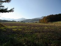 IMGP5927