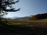 IMGP5928