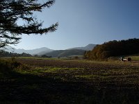 IMGP5929