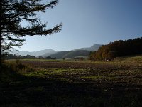 IMGP5930