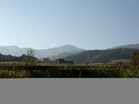 IMGP5931