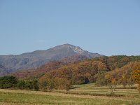 IMGP5940