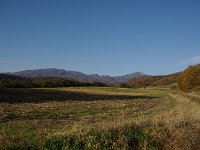 IMGP5941