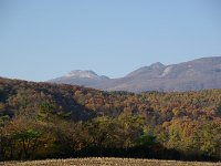 IMGP5943