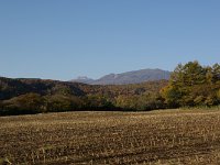 IMGP5944
