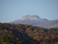 IMGP5945