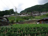 結構、新しい家？