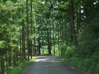 町への道