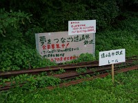 IMGP6739