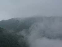 雲湧く谷筋