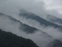 見事な眺め