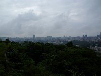 IMGP8949