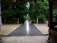 IMGP8967