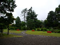 IMGP9250
