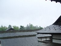 IMGP9268