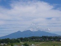 IMG 0750