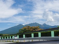 IMG 0780