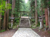 IMG 0805