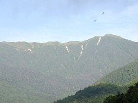 IMG 0823