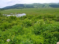 IMG 0828