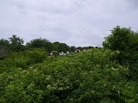 IMG 0829