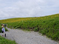 IMG 0834
