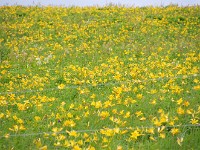 IMG 0836